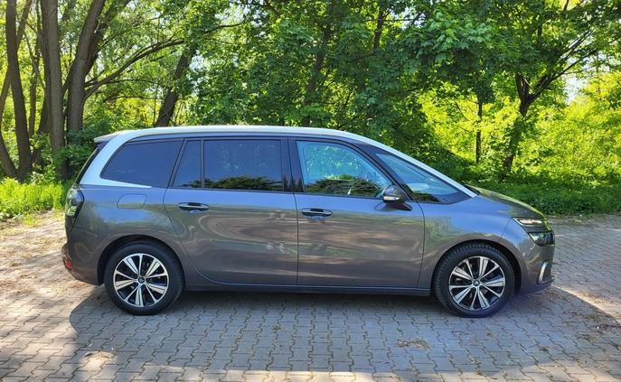 Citroen C4 Picasso cena 67900 przebieg: 187000, rok produkcji 2017 z Poznań małe 781